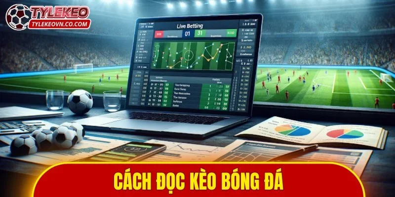 cách đọc kèo bóng đá