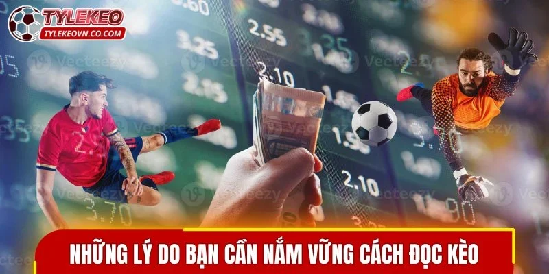 Những lý do bạn cần nắm vững cách đọc kèo
