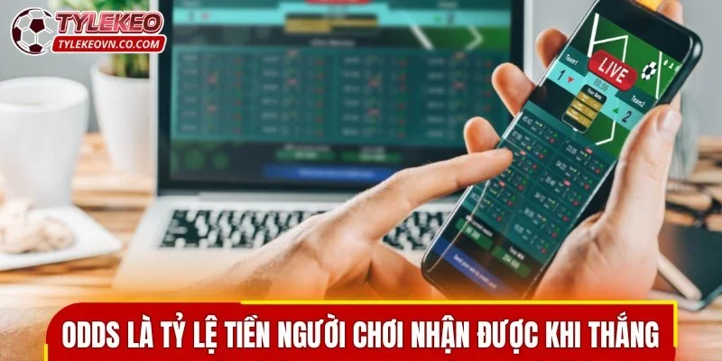 Odds là tỷ lệ tiền người chơi nhận được khi thắng