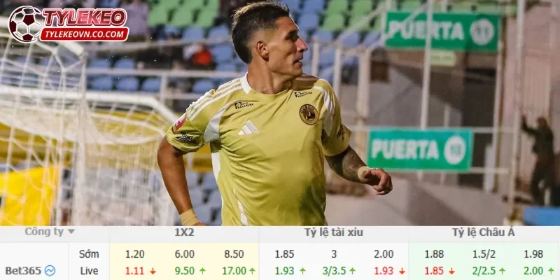 Trận đấu Flamengo vs Cusco dự đoán không nhiều bàn