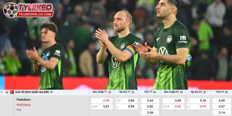 Trận đấu Paderborn vs Wolfsburg dự đoán không nhiều bàn